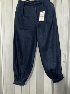 Zara Dark Indigo Denim Pants